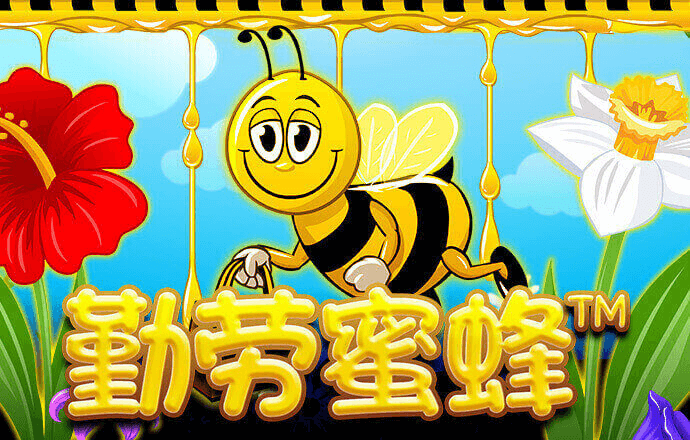 搏冠体育app入口官网