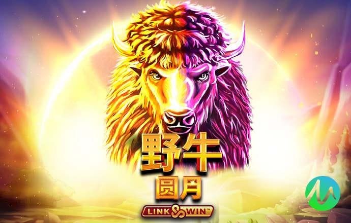 9博体育app