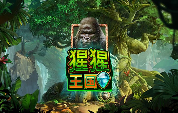 kok·体育综合APP下载